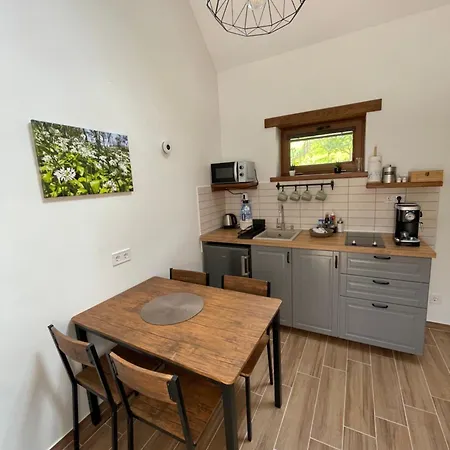 Lesence Vendeghaz Appartement