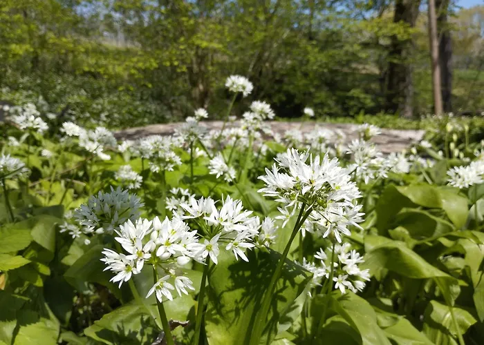 Lesence Vendeghaz * Lesencetomaj