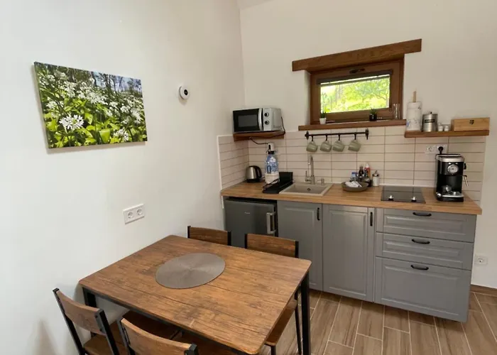 Lesence Vendeghaz Appartement